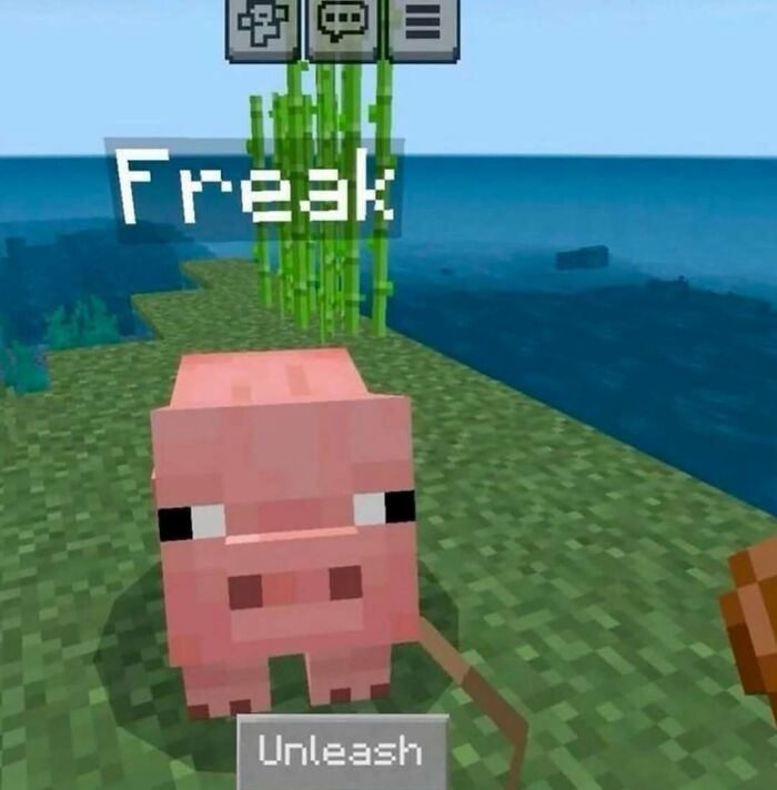 Wait, They Actually Shared These Wild And Weird Memes?! 99 Of The Craziest Ones