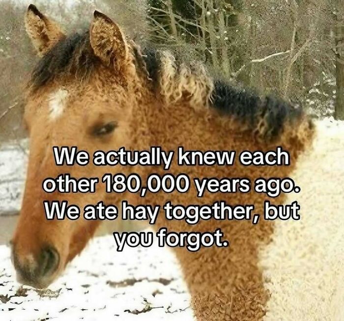 Wait, They Actually Shared These Wild And Weird Memes?! 99 Of The Craziest Ones