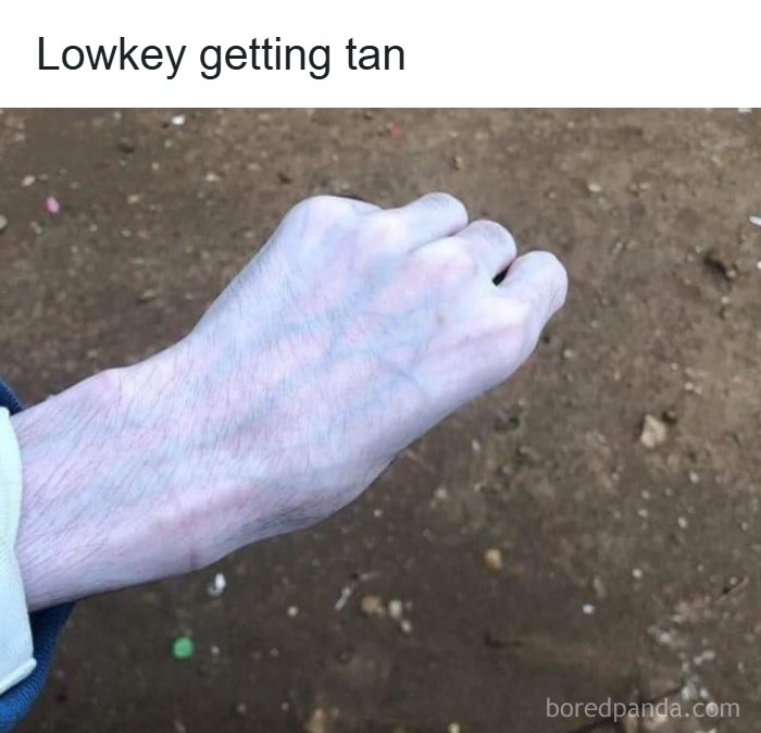 Wait, They Actually Shared These Wild And Weird Memes?! 99 Of The Craziest Ones