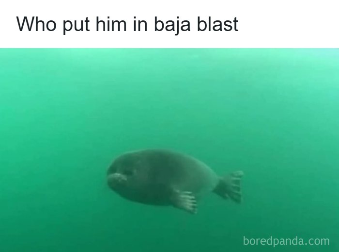 Wait, They Actually Shared These Wild And Weird Memes?! 99 Of The Craziest Ones