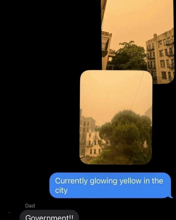 Wait, They Actually Shared These Wild And Weird Memes?! 99 Of The Craziest Ones