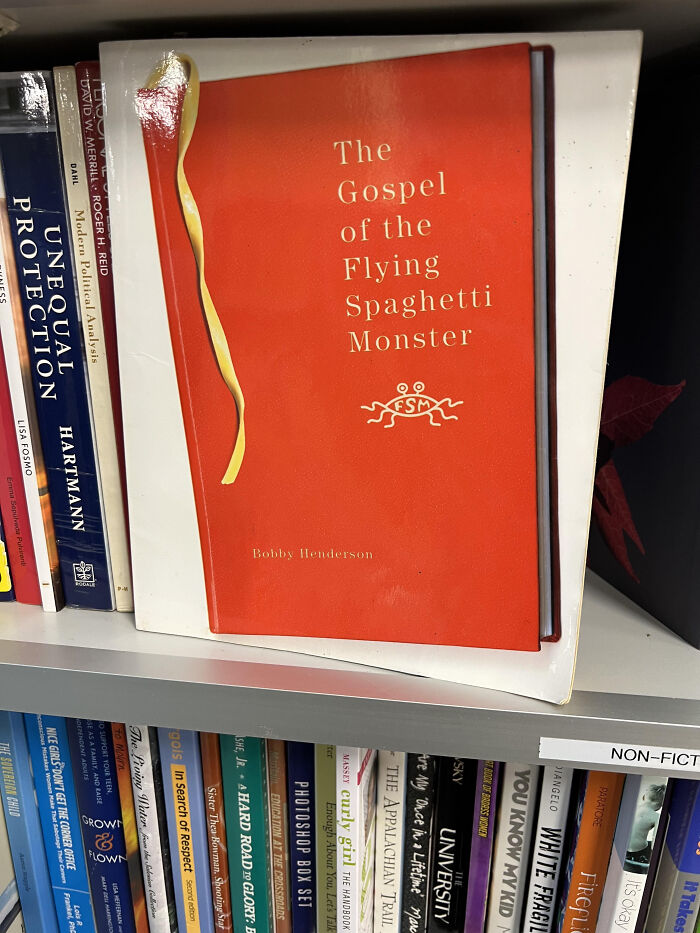 Caught and Released a Book (Literally) in the Nonfiction Section