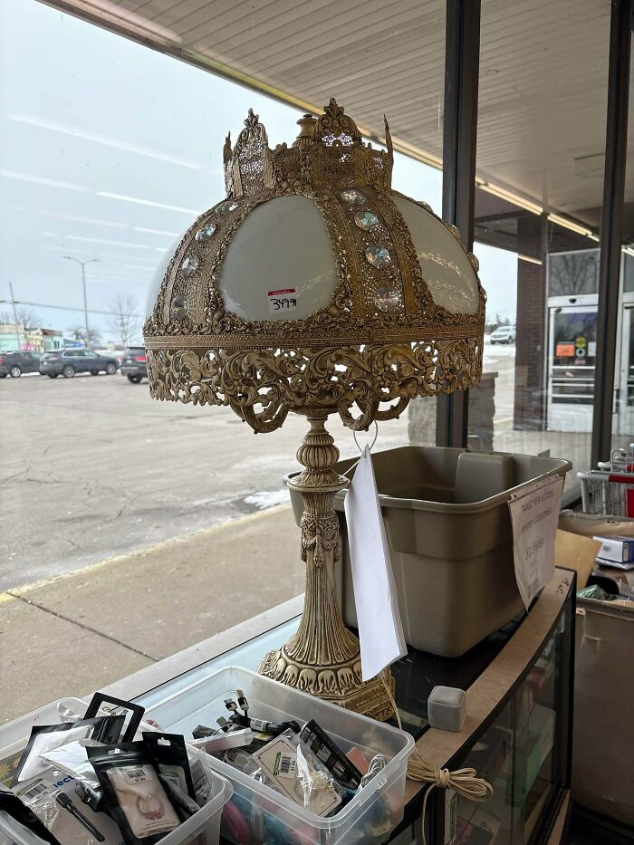 $349.99 Lamp Found at Goodwill—Is This Real Life?
