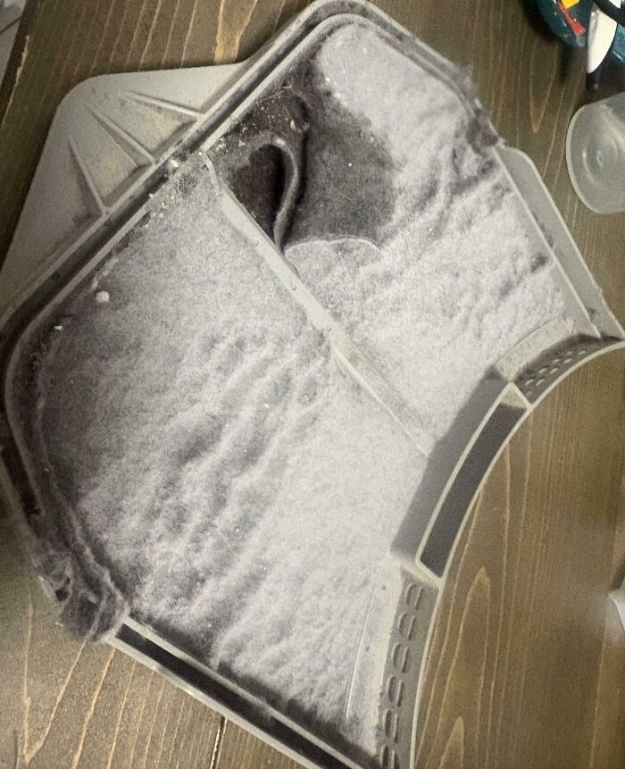 Laundry Day Mystery: How Does Lint Even Get This Big?