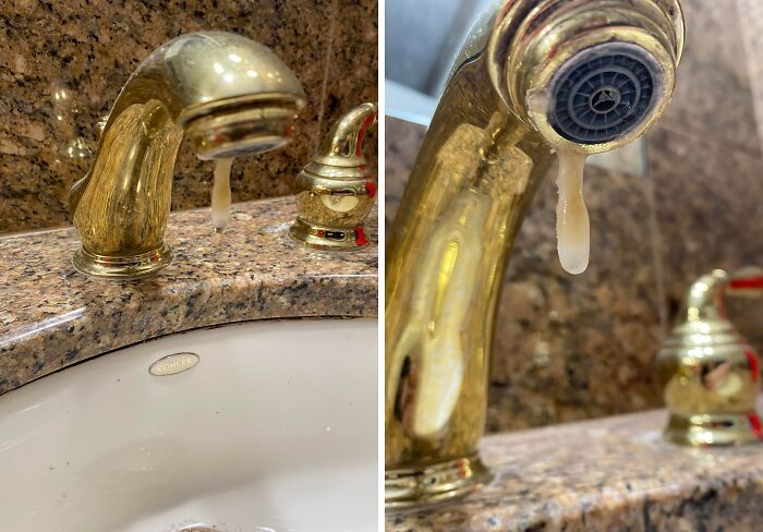 Faucet Fungus? Mystery Growth From Tap