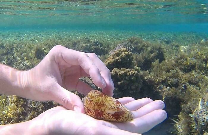 Red Sea Creepy Crawlies: How Lucky Am I?