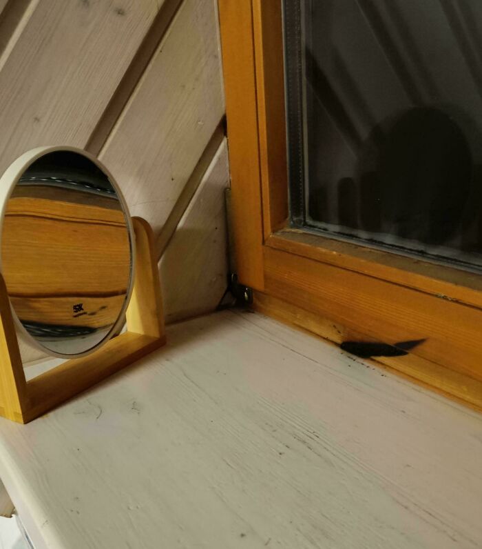 Concave Mirror Nearly Fired Up the House