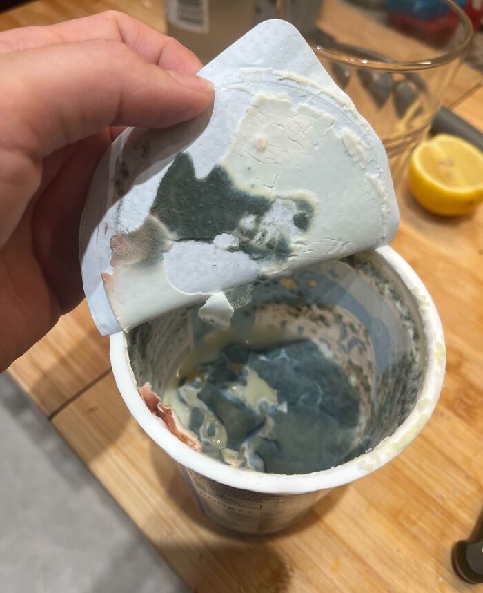 Scrape Off the Mold? Nope! That’s a NOPE Potion