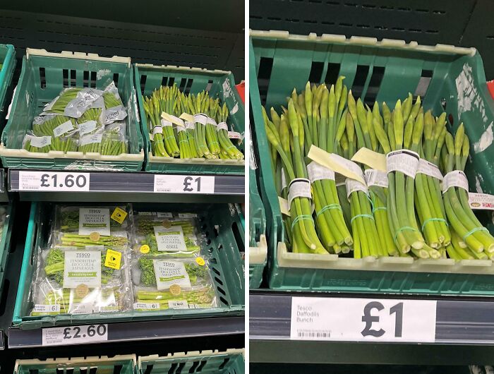 Oops! Definitely Should Not Have Eaten These, Buddy