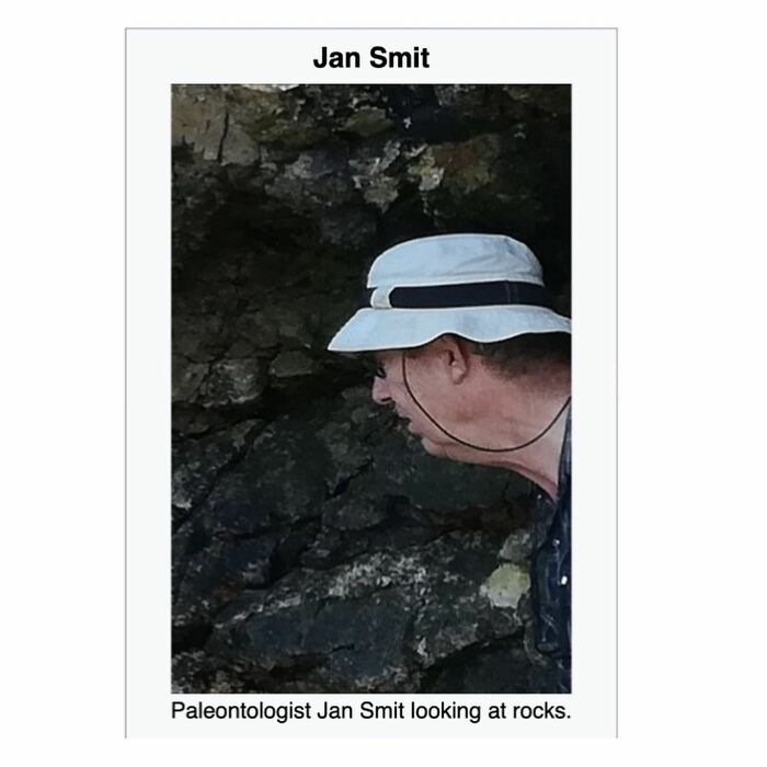 Wait, Wikipedia Gets THIS Weird? 82 Totally Bizarre Articles You Won't Believe Exist