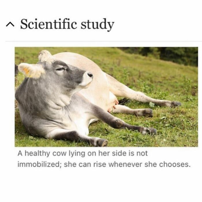 Wait, Wikipedia Gets THIS Weird? 82 Totally Bizarre Articles You Won't Believe Exist
