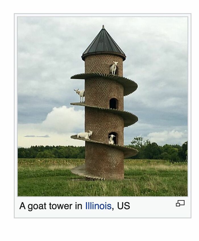 Wait, Wikipedia Gets THIS Weird? 82 Totally Bizarre Articles You Won't Believe Exist