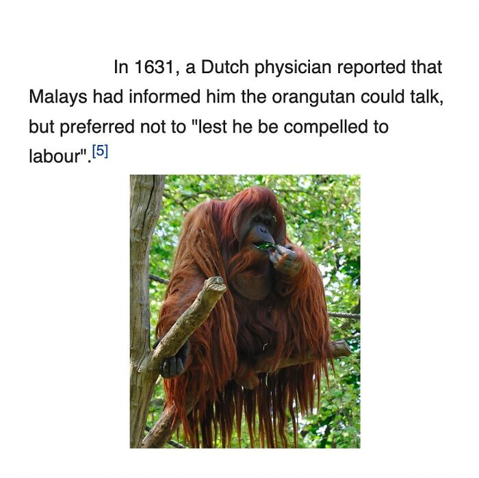 Wait, Wikipedia Gets THIS Weird? 82 Totally Bizarre Articles You Won't Believe Exist