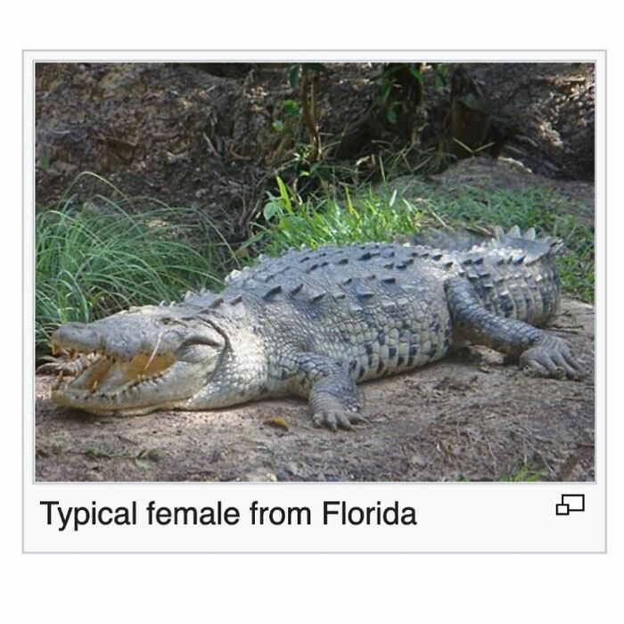 Wait, Wikipedia Gets THIS Weird? 82 Totally Bizarre Articles You Won't Believe Exist