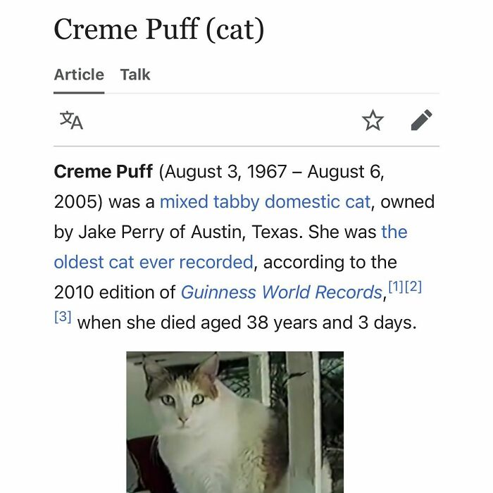 Wait, Wikipedia Gets THIS Weird? 82 Totally Bizarre Articles You Won't Believe Exist