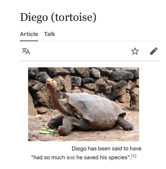 Wait, Wikipedia Gets THIS Weird? 82 Totally Bizarre Articles You Won't Believe Exist