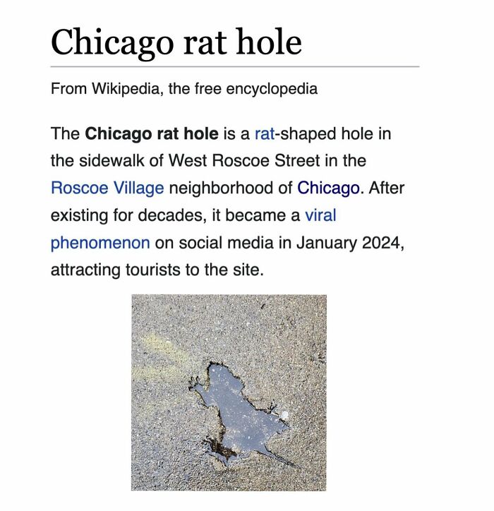 Wait, Wikipedia Gets THIS Weird? 82 Totally Bizarre Articles You Won't Believe Exist