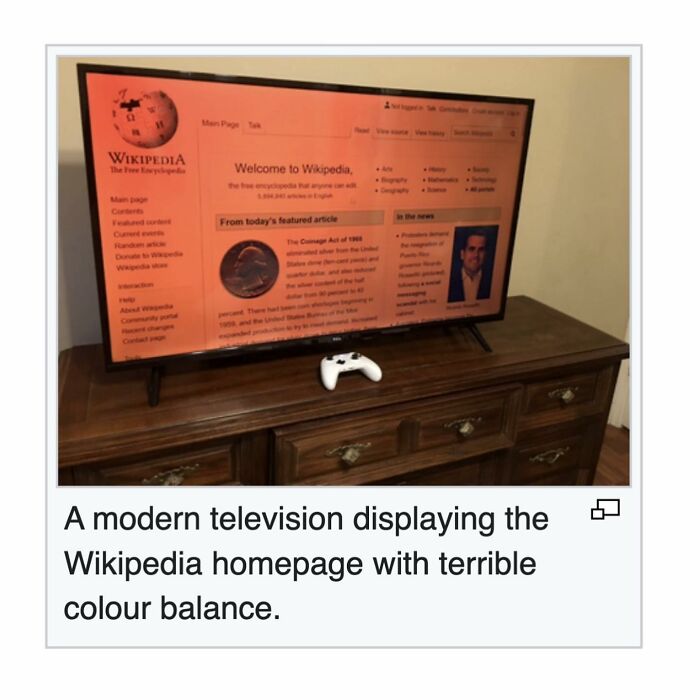 Wait, Wikipedia Gets THIS Weird? 82 Totally Bizarre Articles You Won't Believe Exist