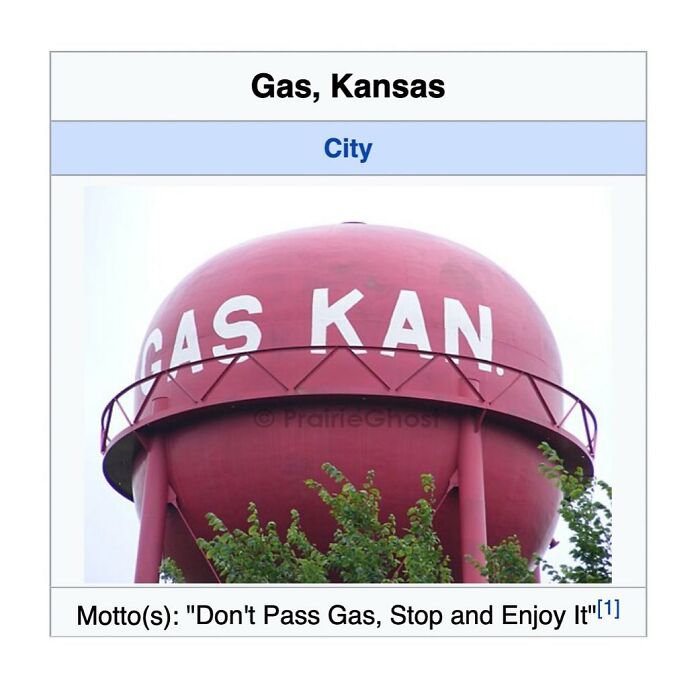 Wait, Wikipedia Gets THIS Weird? 82 Totally Bizarre Articles You Won't Believe Exist