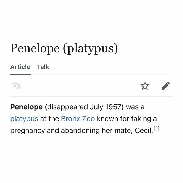 Wait, Wikipedia Gets THIS Weird? 82 Totally Bizarre Articles You Won't Believe Exist