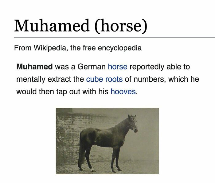 Wait, Wikipedia Gets THIS Weird? 82 Totally Bizarre Articles You Won't Believe Exist