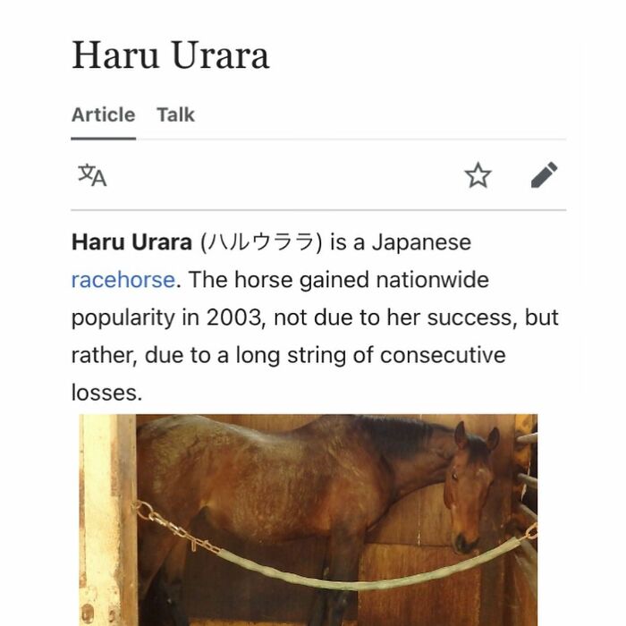 Wait, Wikipedia Gets THIS Weird? 82 Totally Bizarre Articles You Won't Believe Exist