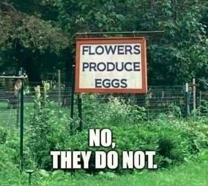 No, They Do Not!