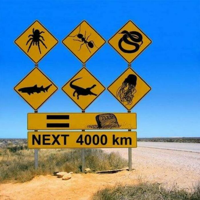 Ok I'll Not Go There