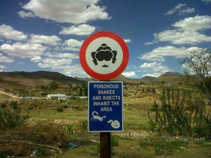 Oh No!