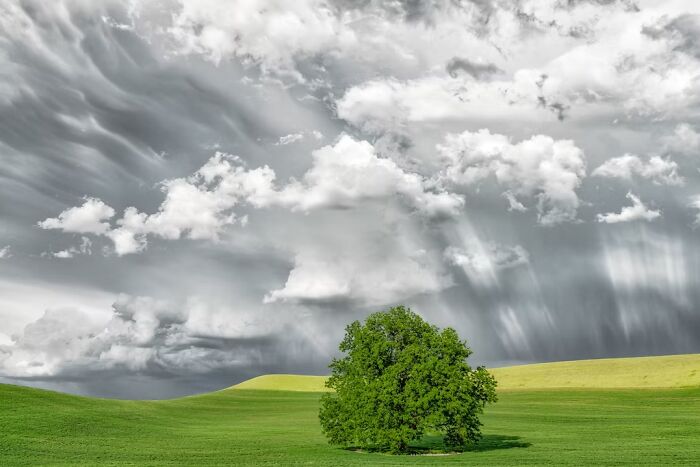 Pastoral Palouse: When Storms And Sunshine Battle It Out