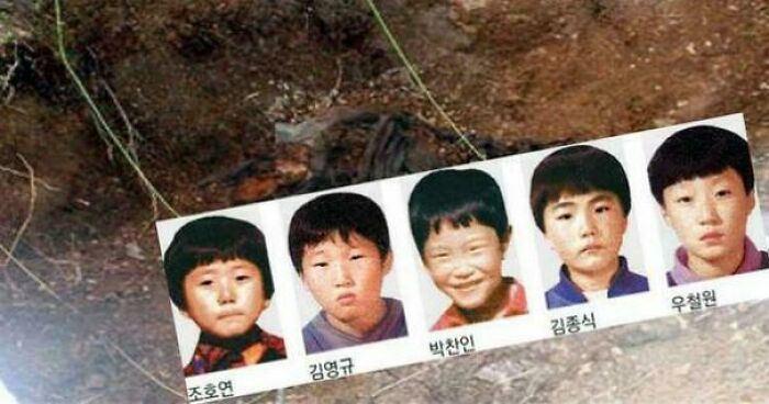 The Frog Boys Mystery: Young Friends Went Searching and Never Came Back