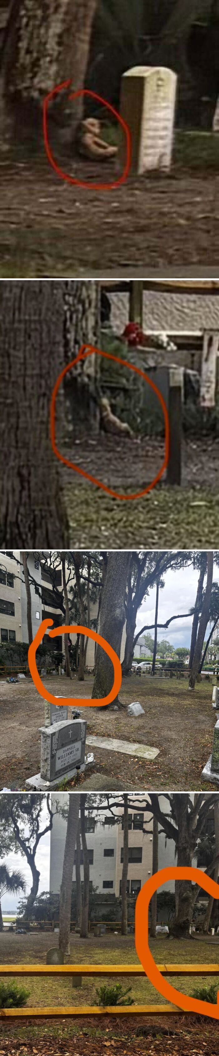 Shadow Figures and Creepy Photos—Real Paranormal? You Decide!