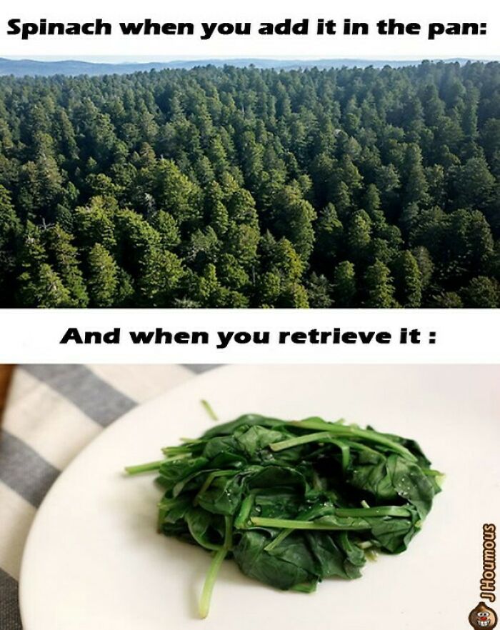 Let's Giggle at These Hilarious Vegan Memes That Nail The Struggle
