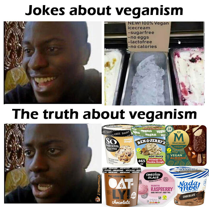 Let's Giggle at These Hilarious Vegan Memes That Nail The Struggle
