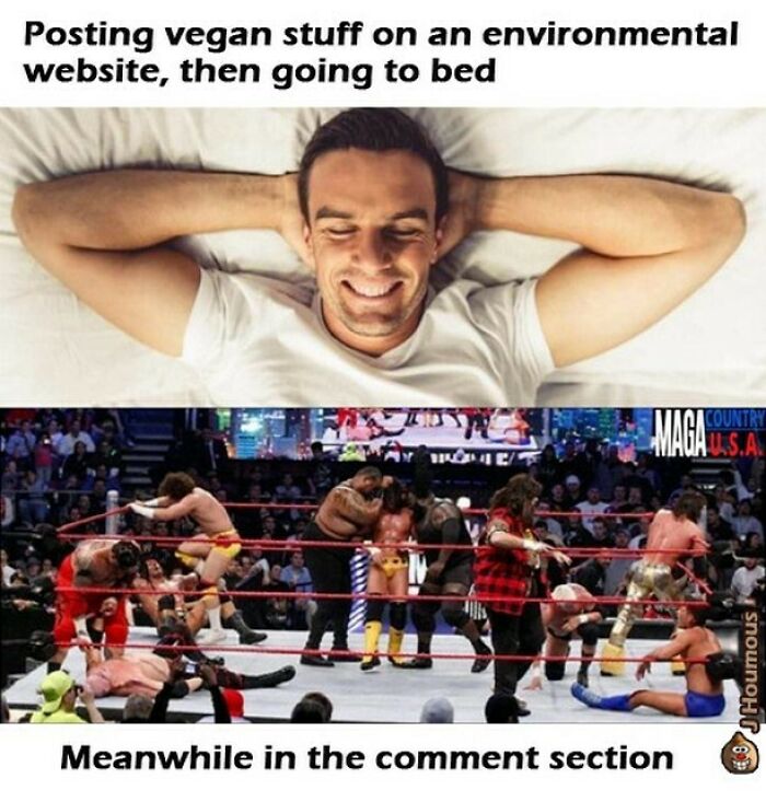 Let's Giggle at These Hilarious Vegan Memes That Nail The Struggle