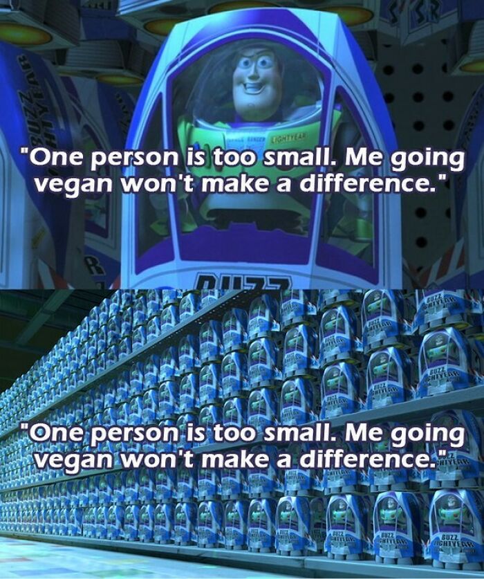 Let's Giggle at These Hilarious Vegan Memes That Nail The Struggle