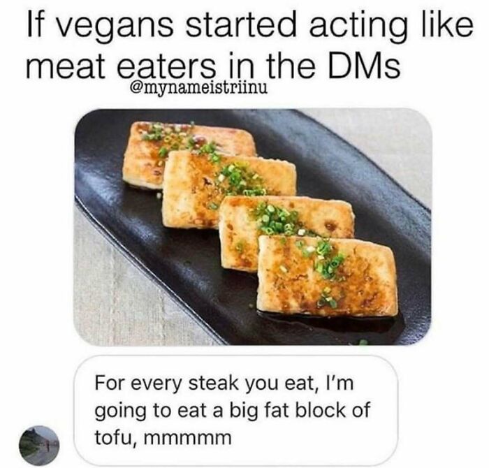 Let's Giggle at These Hilarious Vegan Memes That Nail The Struggle