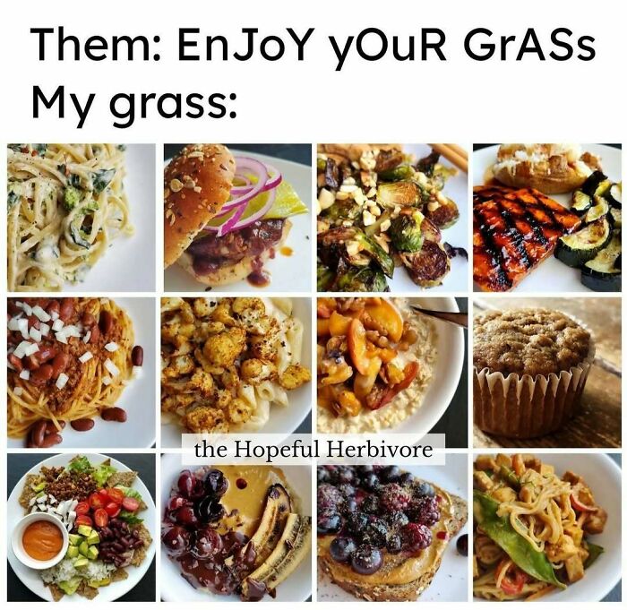 Let's Giggle at These Hilarious Vegan Memes That Nail The Struggle