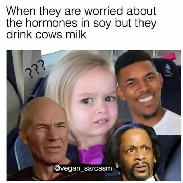 Let's Giggle at These Hilarious Vegan Memes That Nail The Struggle