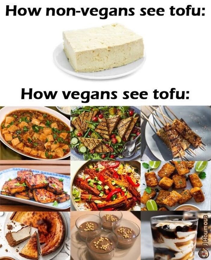 Let's Giggle at These Hilarious Vegan Memes That Nail The Struggle