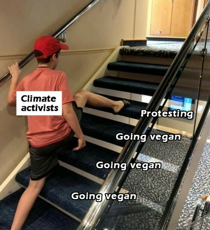 Let's Giggle at These Hilarious Vegan Memes That Nail The Struggle