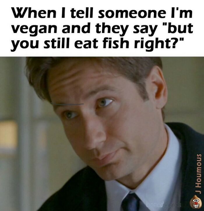 Let's Giggle at These Hilarious Vegan Memes That Nail The Struggle