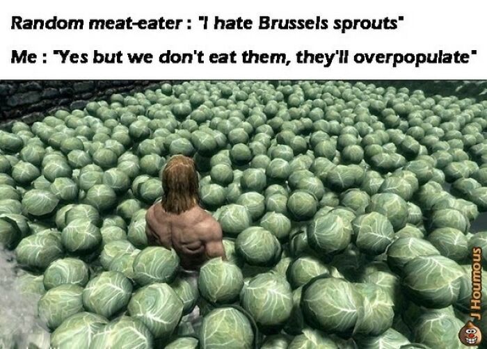 Let's Giggle at These Hilarious Vegan Memes That Nail The Struggle