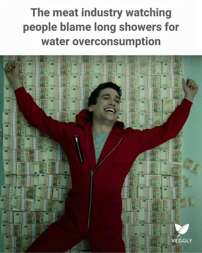 Let's Giggle at These Hilarious Vegan Memes That Nail The Struggle