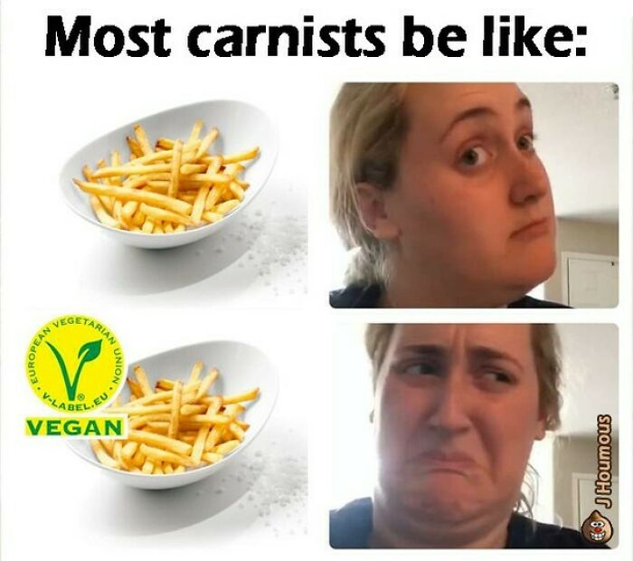 Let's Giggle at These Hilarious Vegan Memes That Nail The Struggle