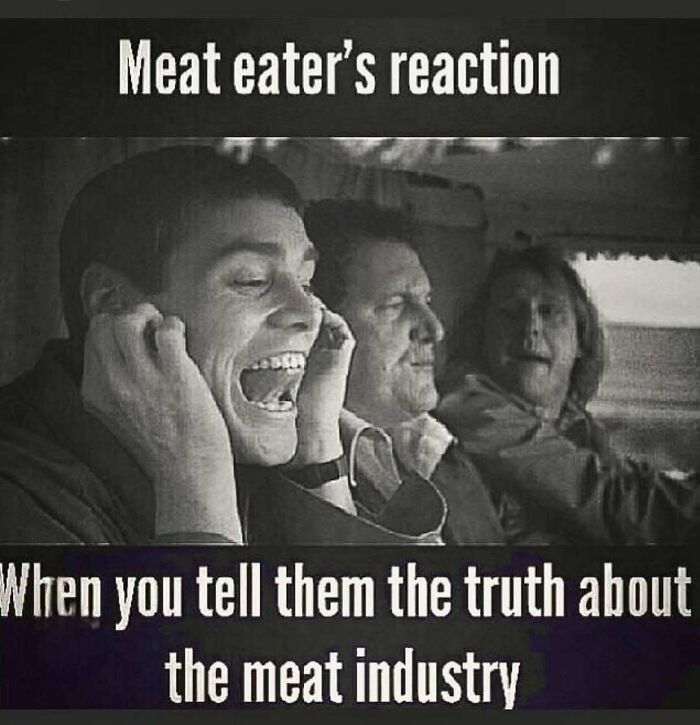 Let's Giggle at These Hilarious Vegan Memes That Nail The Struggle
