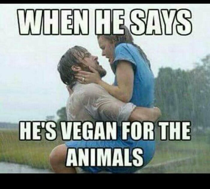 Let's Giggle at These Hilarious Vegan Memes That Nail The Struggle