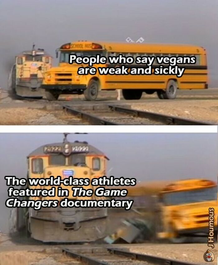 Let's Giggle at These Hilarious Vegan Memes That Nail The Struggle