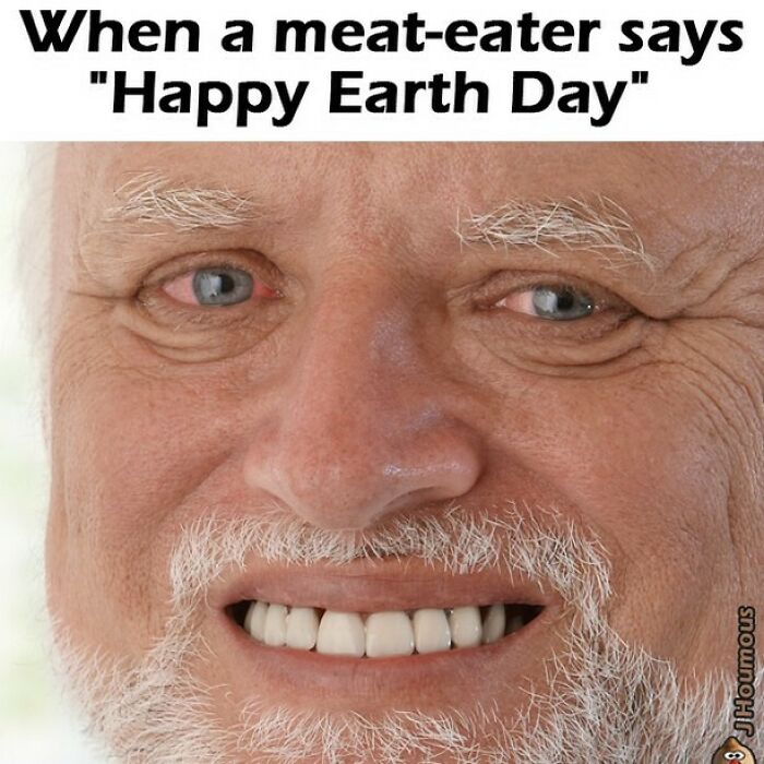 Let's Giggle at These Hilarious Vegan Memes That Nail The Struggle