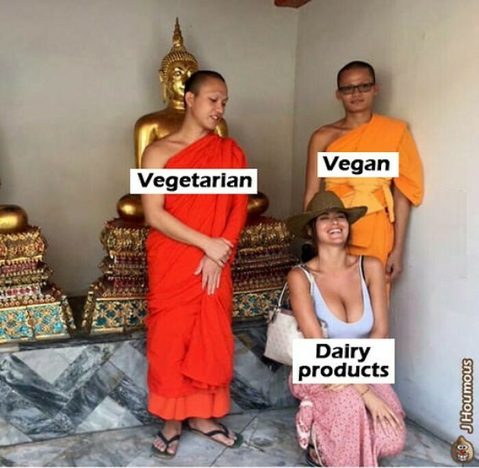 Let's Giggle at These Hilarious Vegan Memes That Nail The Struggle